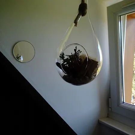 Bed and Breakfast Le Bouddha Du Saint-Germain-de-Tallevende