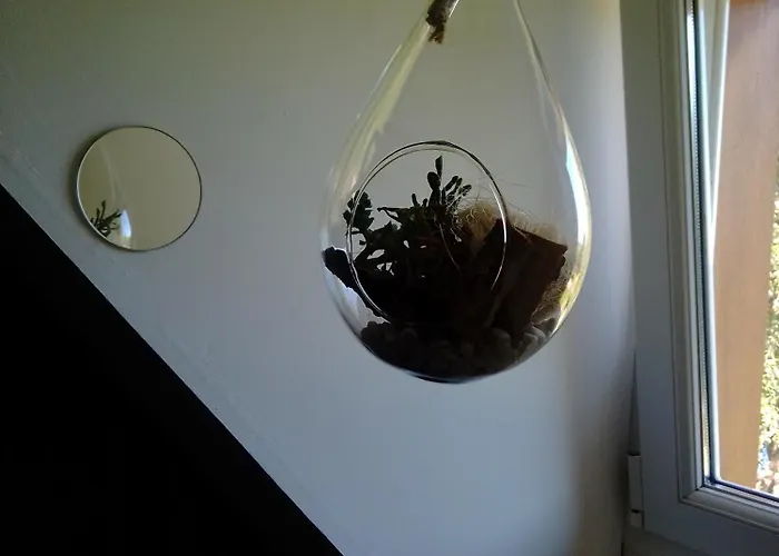 Couette-café Le Bouddha Du Saint-Germain-de-Tallevende